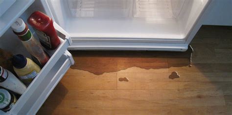 leaking fridge|Fridge Leaking Water – 7 Common Causes & Easy Fixes